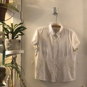 Christopher&Banks embroidered button down